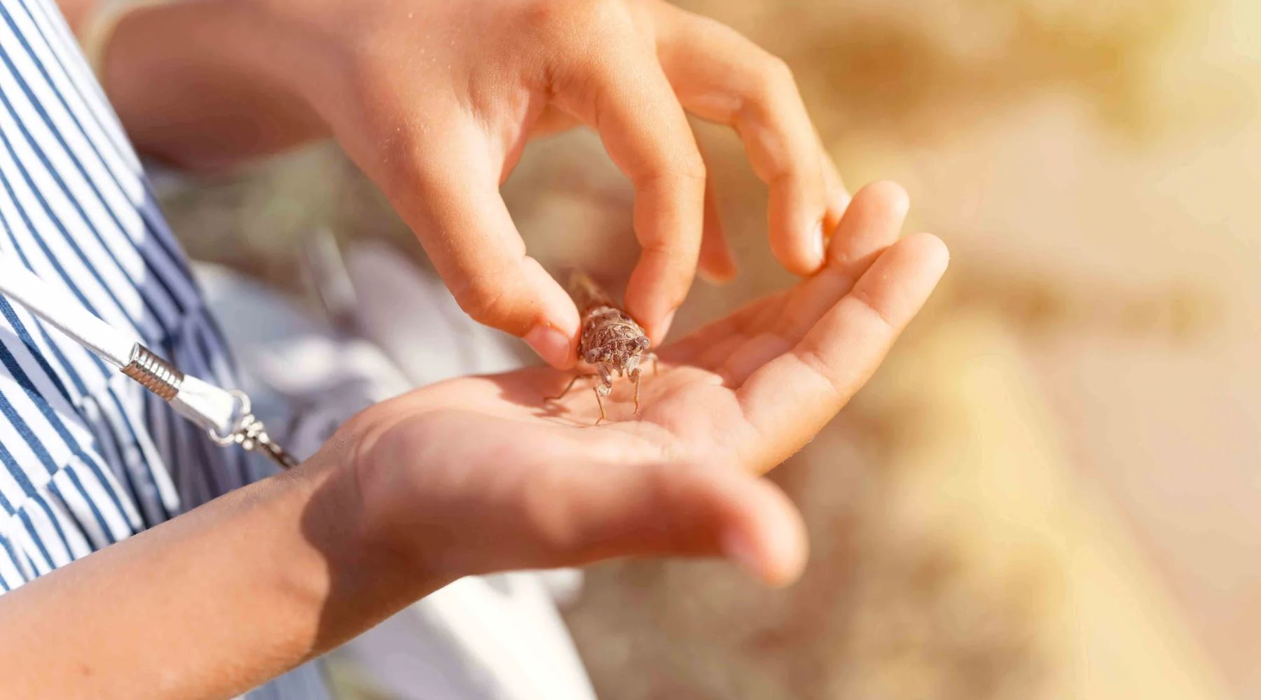 Top-Tipps für eine natürliche und gesunde Erziehung Ihrer Kinder