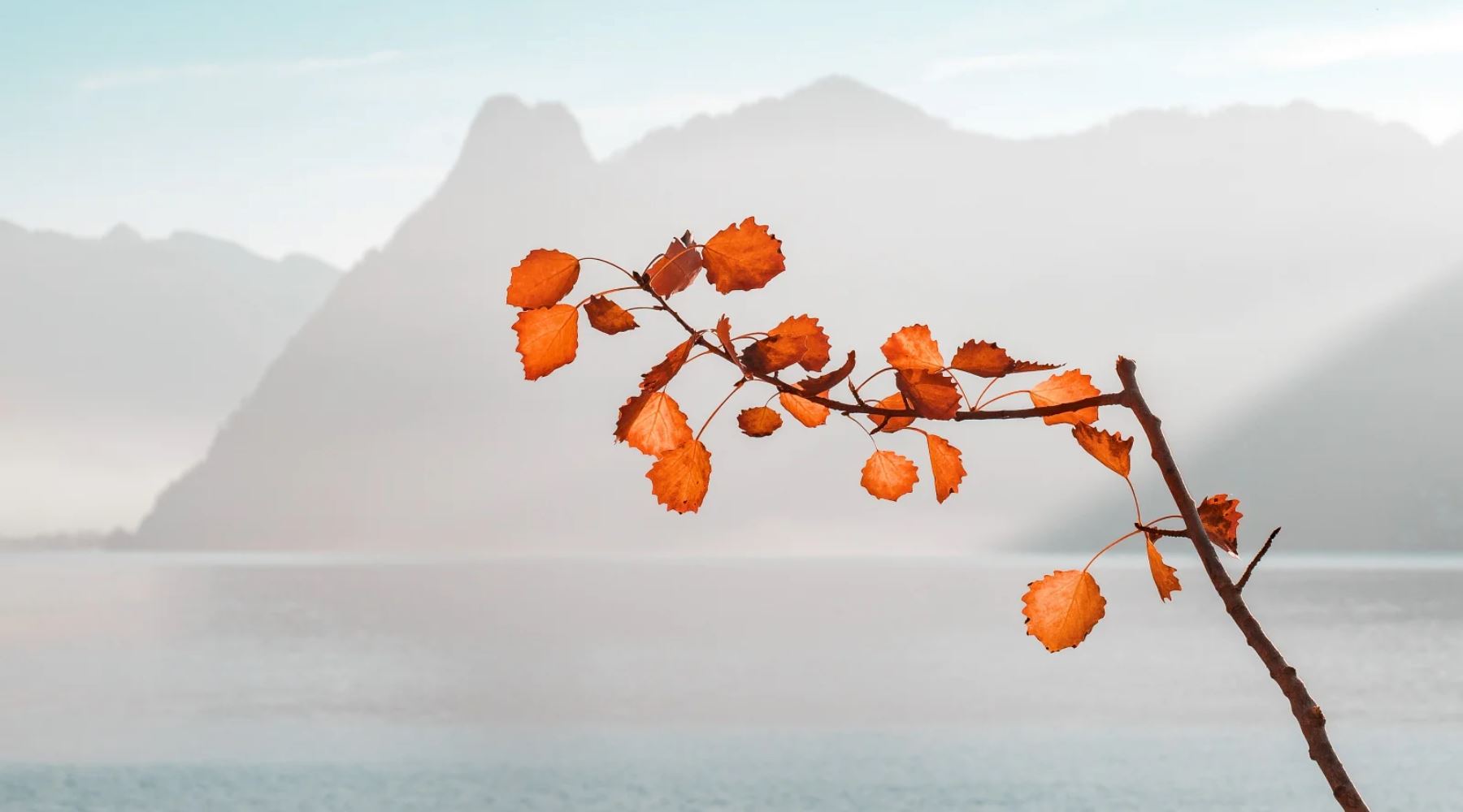 Stellen Sie Ihre Herbst-Hautpflege-Routine um