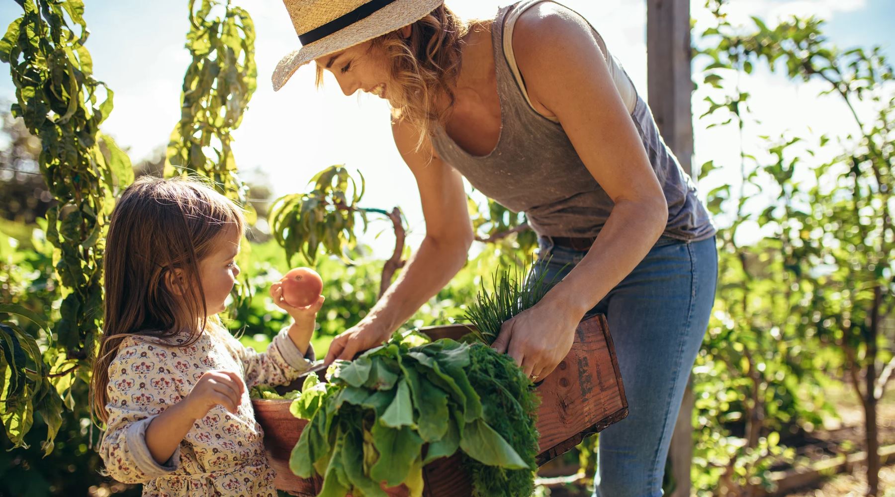 Weshalb du dich für einen biologischen Lifestyle entscheiden solltest